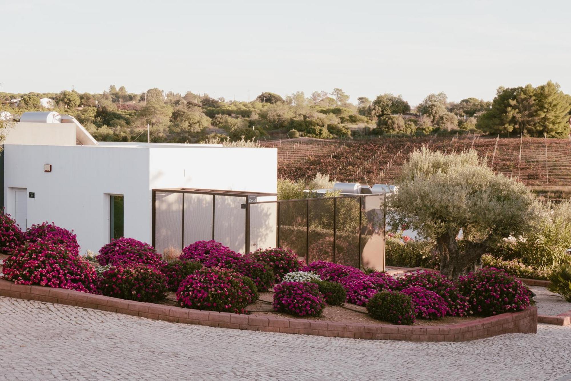 Quinta Dos Vales Wine Estate Guest House Estômbar Eksteriør bilde